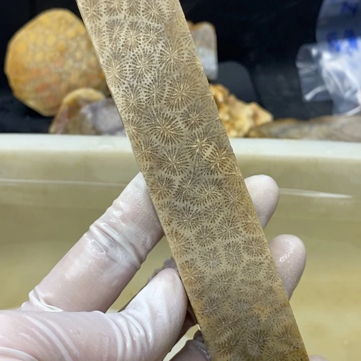 【闪购商品】未镶嵌珊瑚玉硅化玉