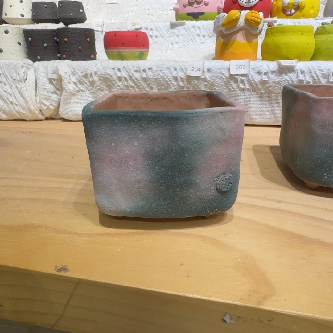 红陶葵**理0222-40盆盆盆