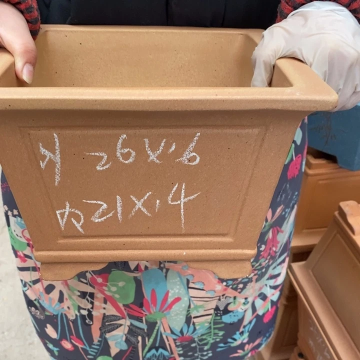 花盆紫砂只顾看手机