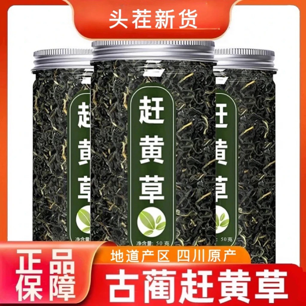 【2罐装】四川古蔺赶黄草茶头茬新货无提取赶黄草煮水泡水喝