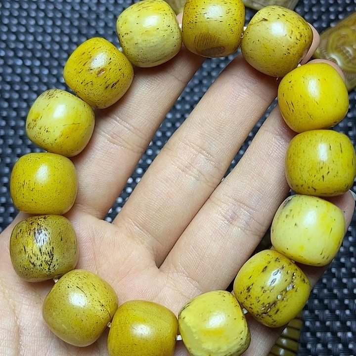 其他驼骨其他配饰