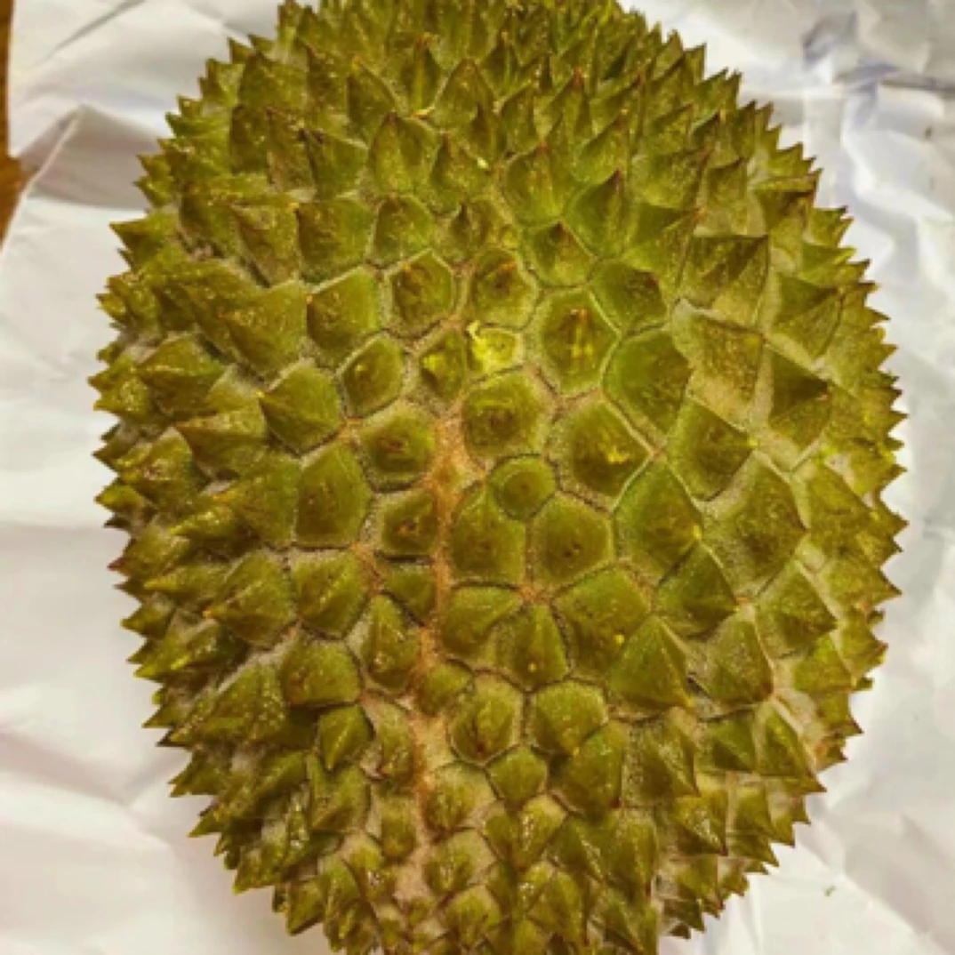 长柄猫山王榴莲（泰国一物一拍）斤榴莲同城送新鲜榴莲泰国（核大）猫山王泰国东部