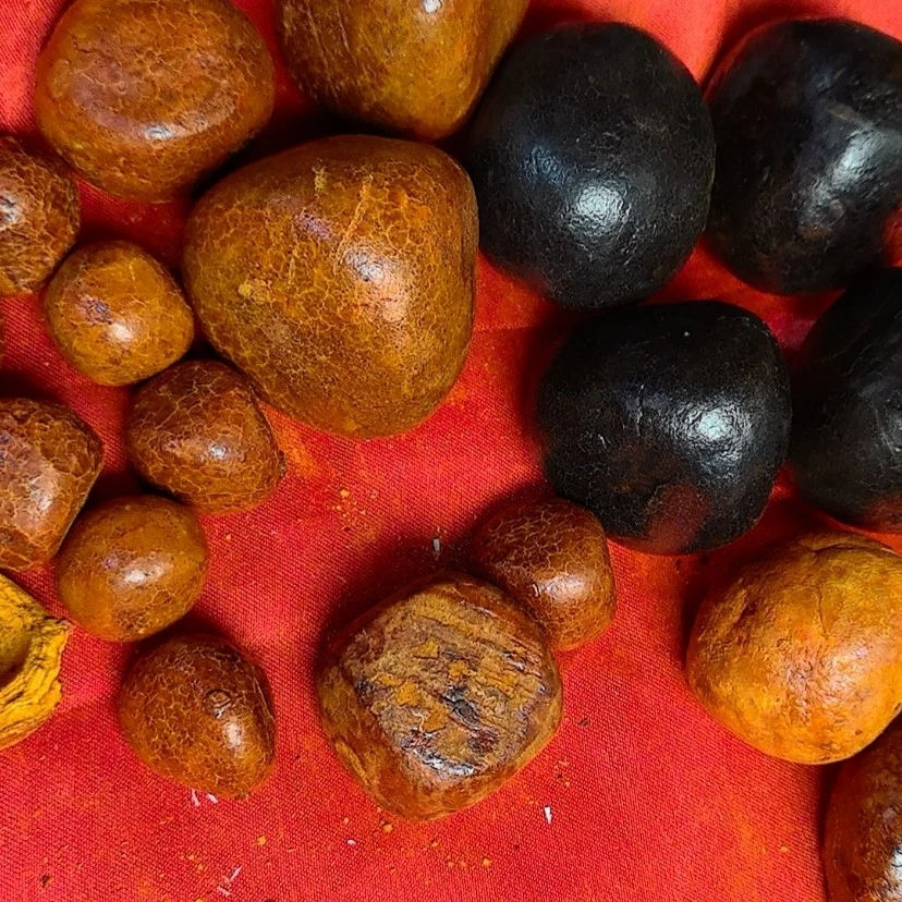 大黄土货 牛宝菇