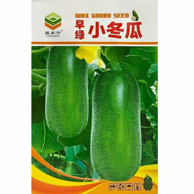 【早绿小冬瓜种子】四季盆栽阳台庭院爬藤蔬菜种子