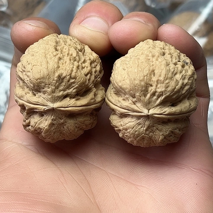 核桃11号花中花39尺