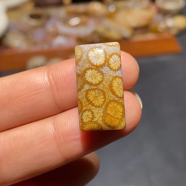 【闪购商品】未镶嵌珊瑚玉硅化玉