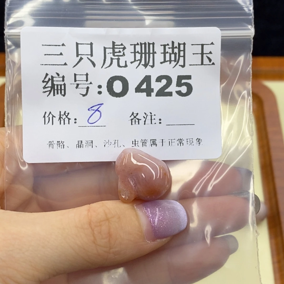 硅化珊瑚（珊瑚玉）未镶嵌o360蕙