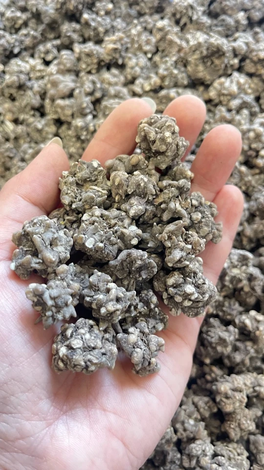 福利价猫爪草 水洗两遍 大号