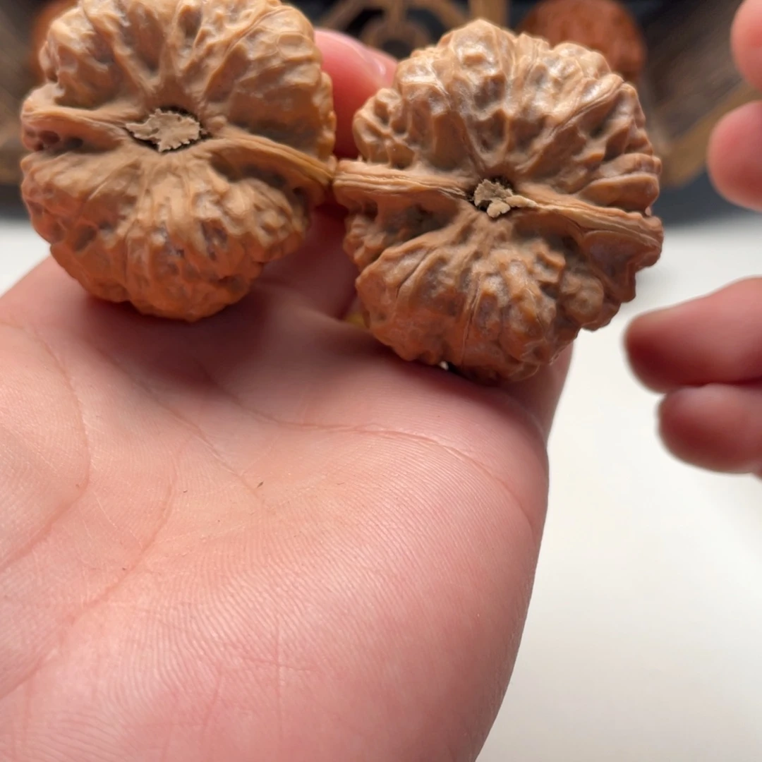 随***点大叶紫檀（黑酸枝木类）蛤蟆头文玩C22