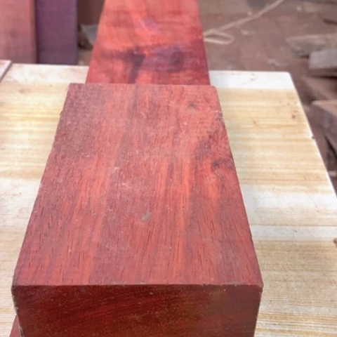 *****图图图图啊哈太开心