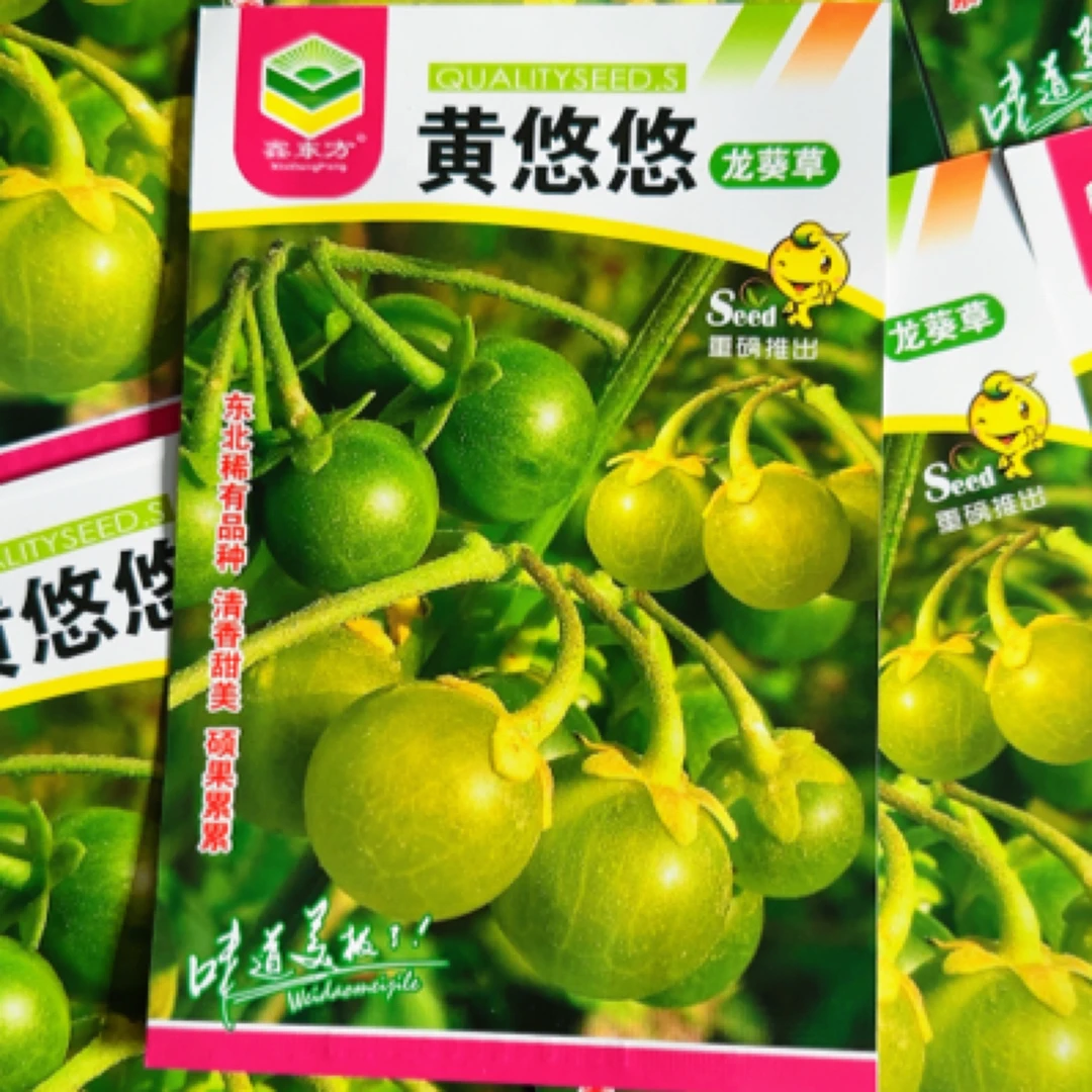 黄悠悠种子（约100粒）