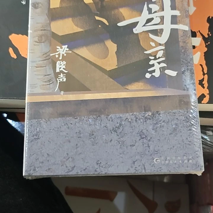 梁晓声的母亲平装库存书
