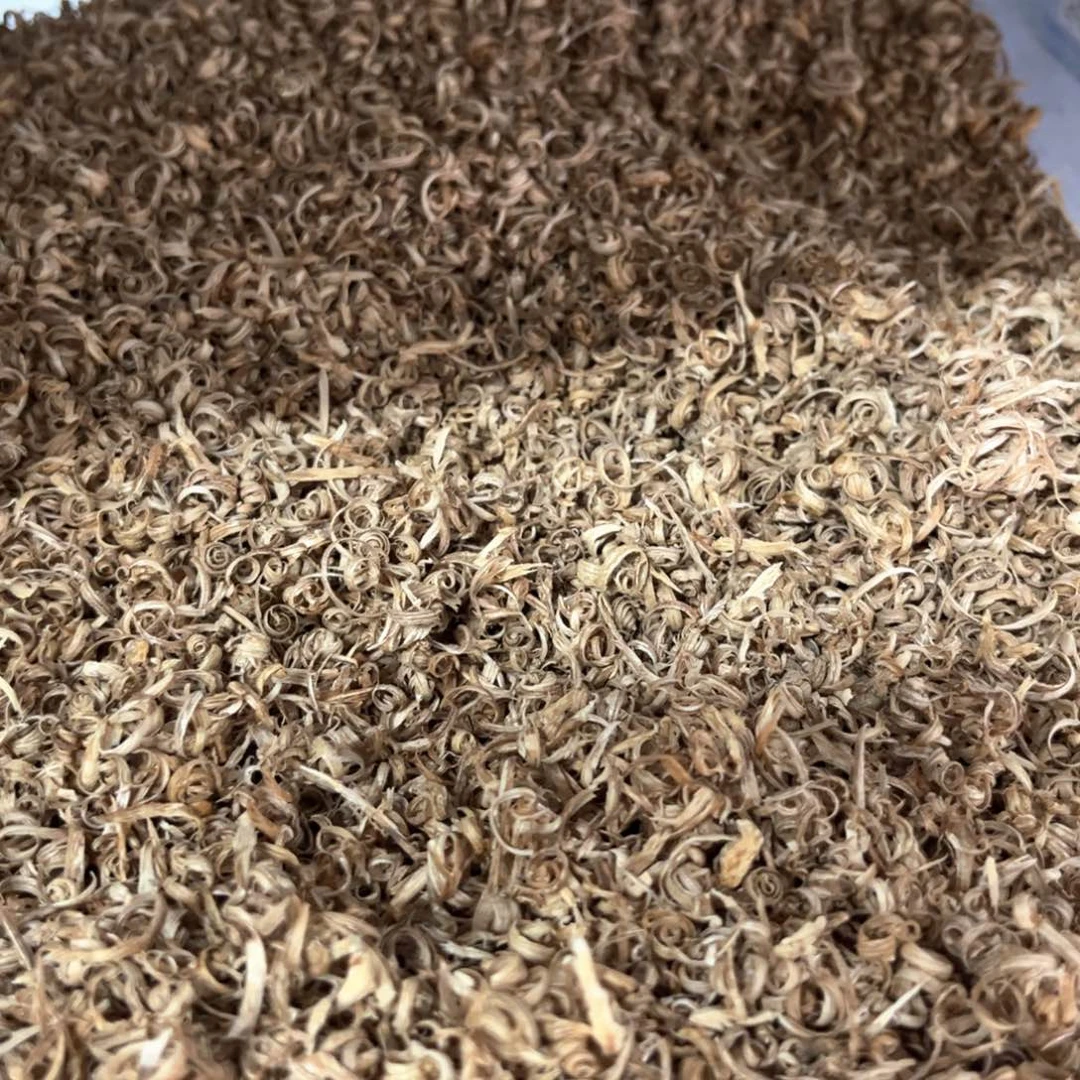 香榧木广西火眼切丝10克