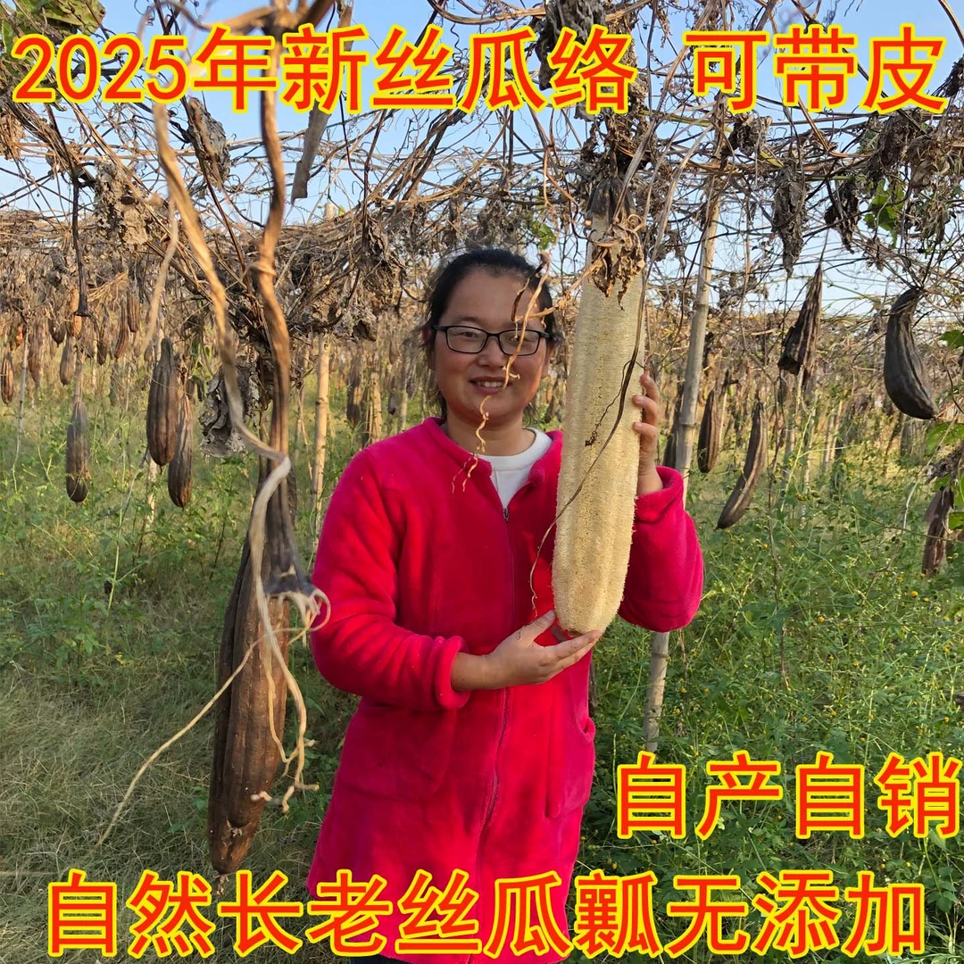 丝瓜络农村老丝瓜带皮壳水瓜布煮水丝瓜瓤筋囊粗大不沾油厨房家用