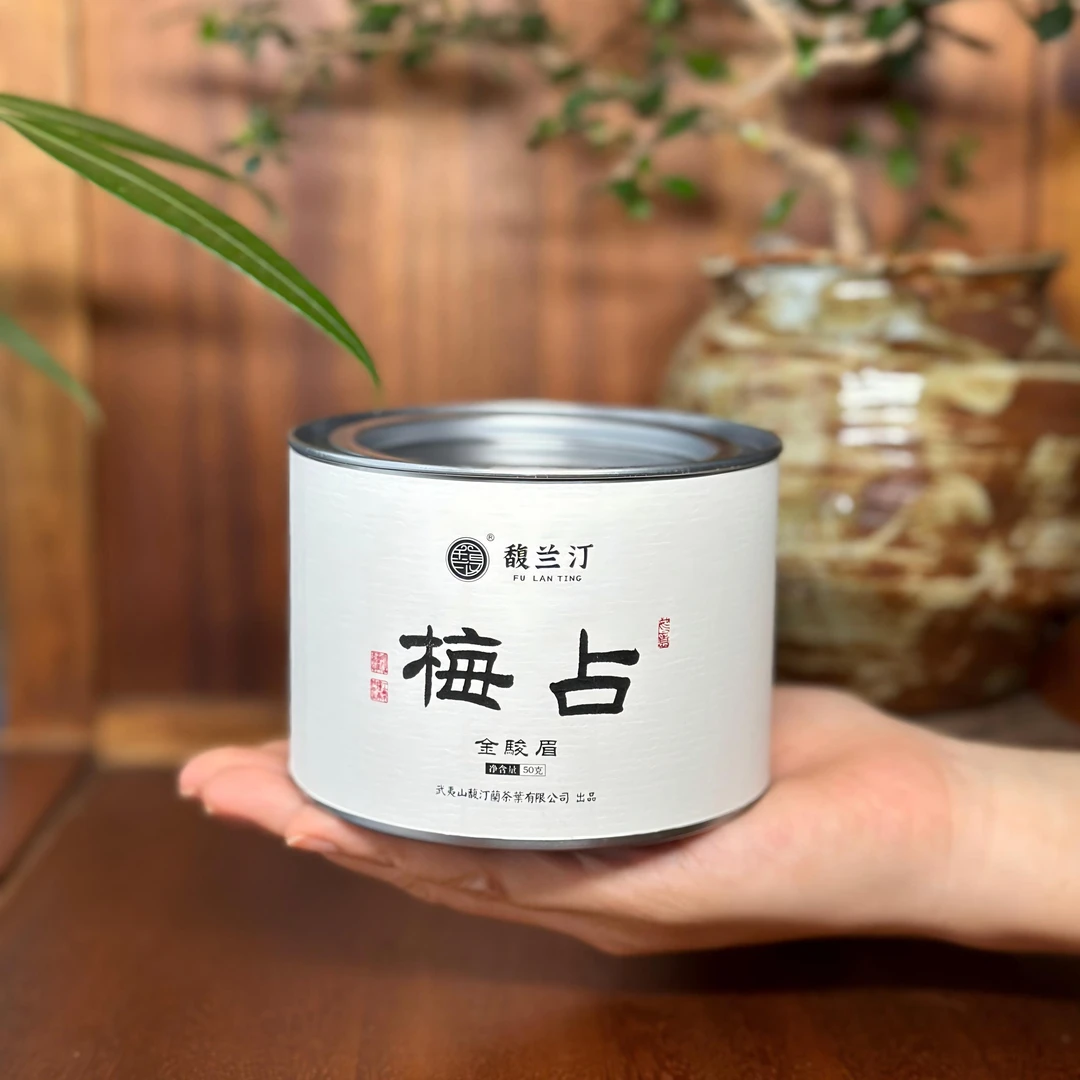 2025年梅占金骏眉红茶武夷山桐木师傅制作高山春茶单芽茶叶罐装