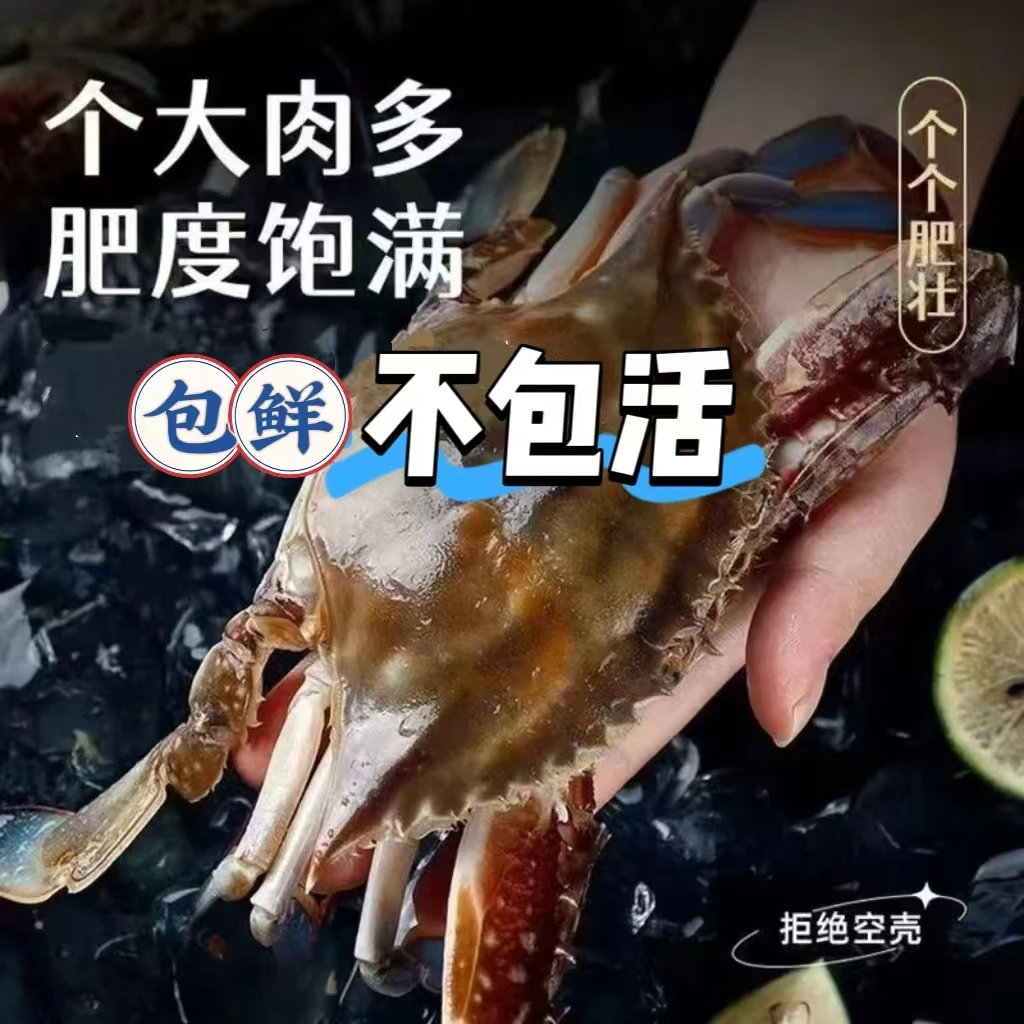【保鲜不保活】舟山新鲜梭子蟹活发3斤装5-7两/只5-6只大蟹顺丰海鲜