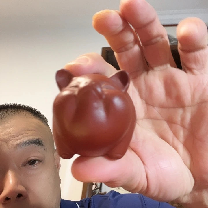 紫砂茶宠，大财主紫砂茶宠，大红袍泥料，大财主！