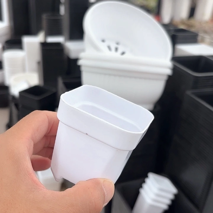 加厚65白方盆50个