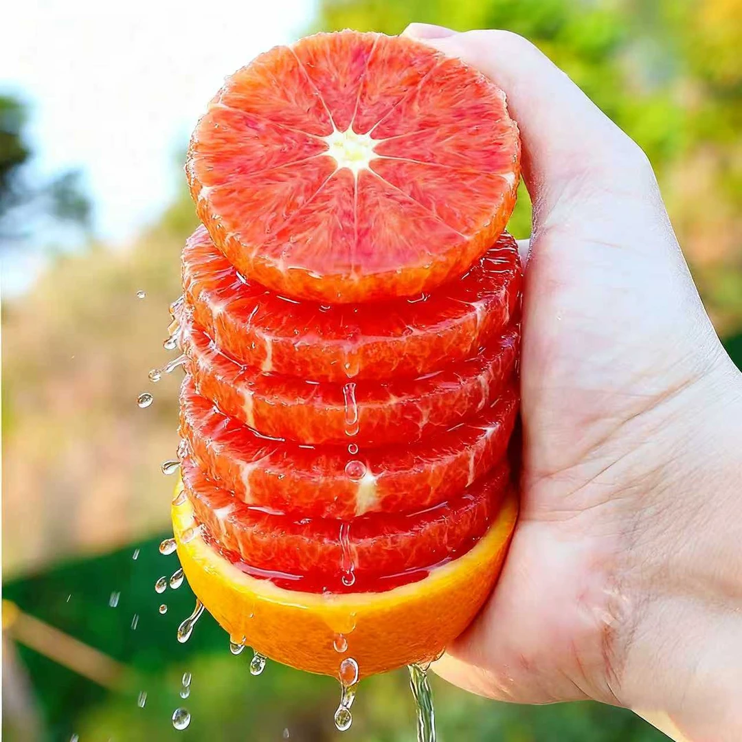 帝王橙丨新鲜应季中华红血橙香甜多汁薄皮手剥橙子现摘水果清热