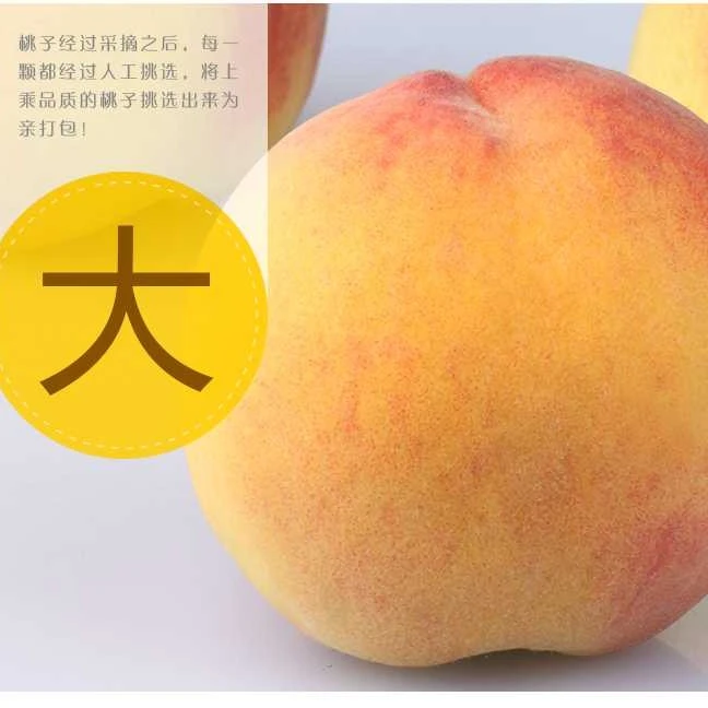 黄毛桃新鲜现摘黄毛桃皮薄香甜脆嫩多汁当季水果l
