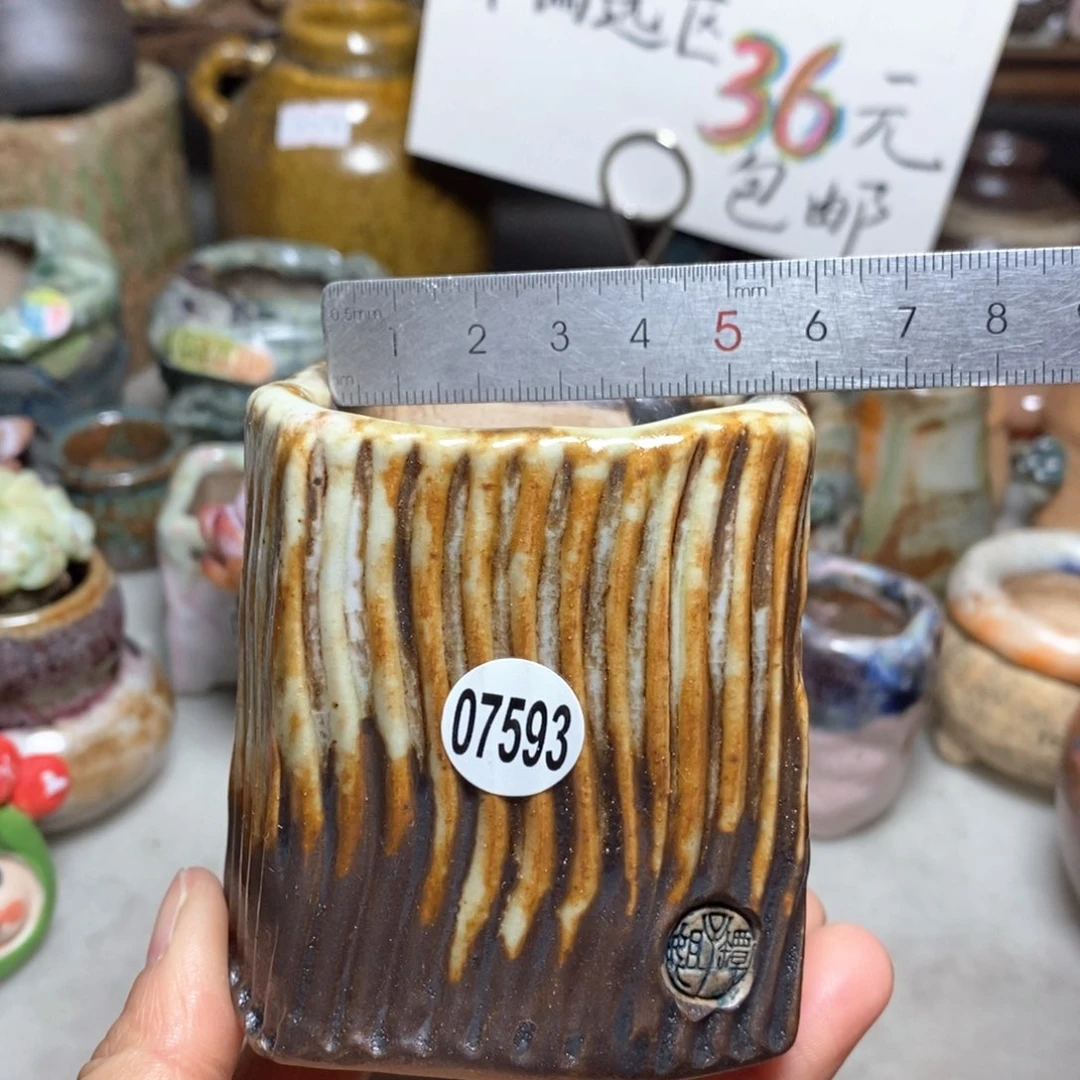 花盆拍3送一个小礼物