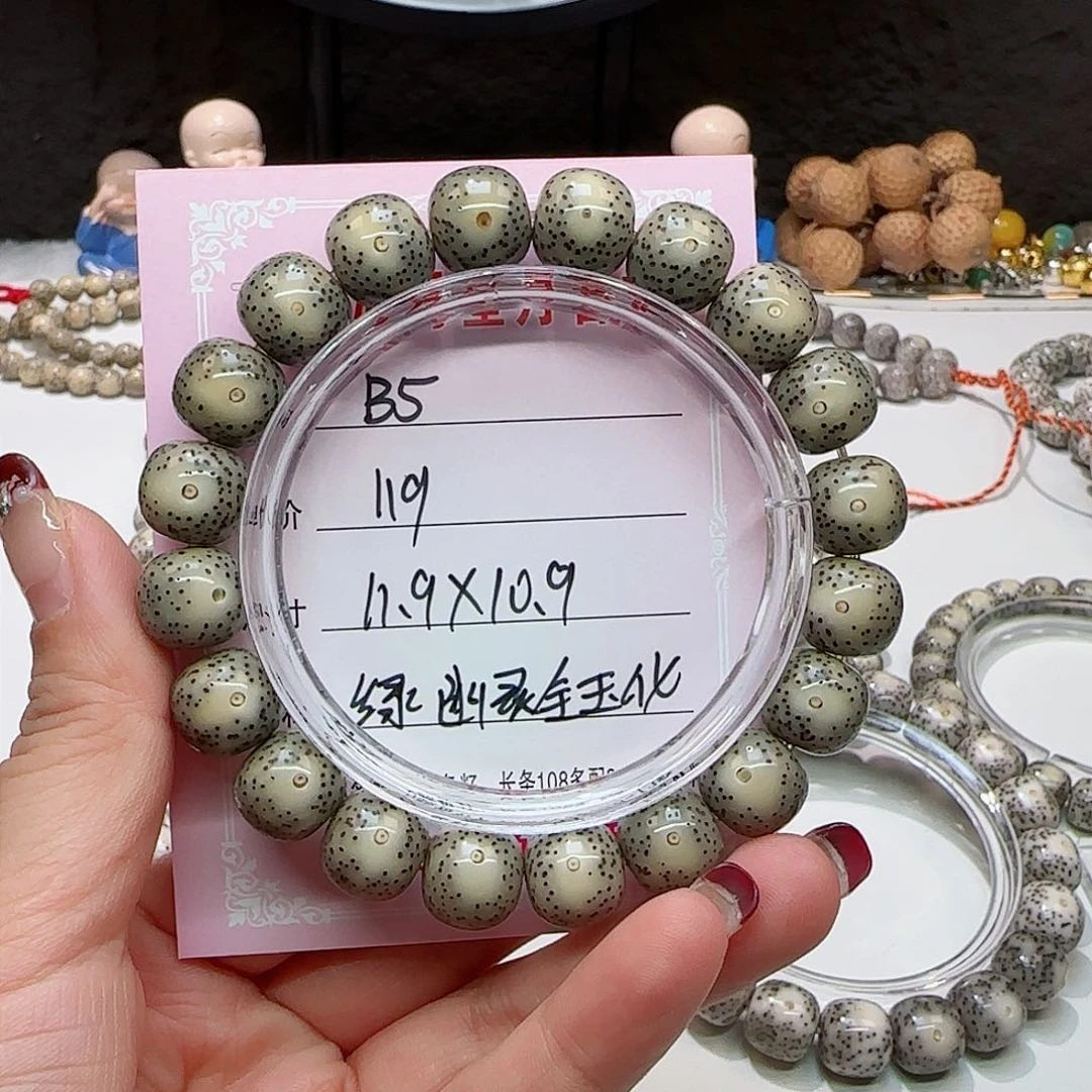 心月星月菩提一号B5