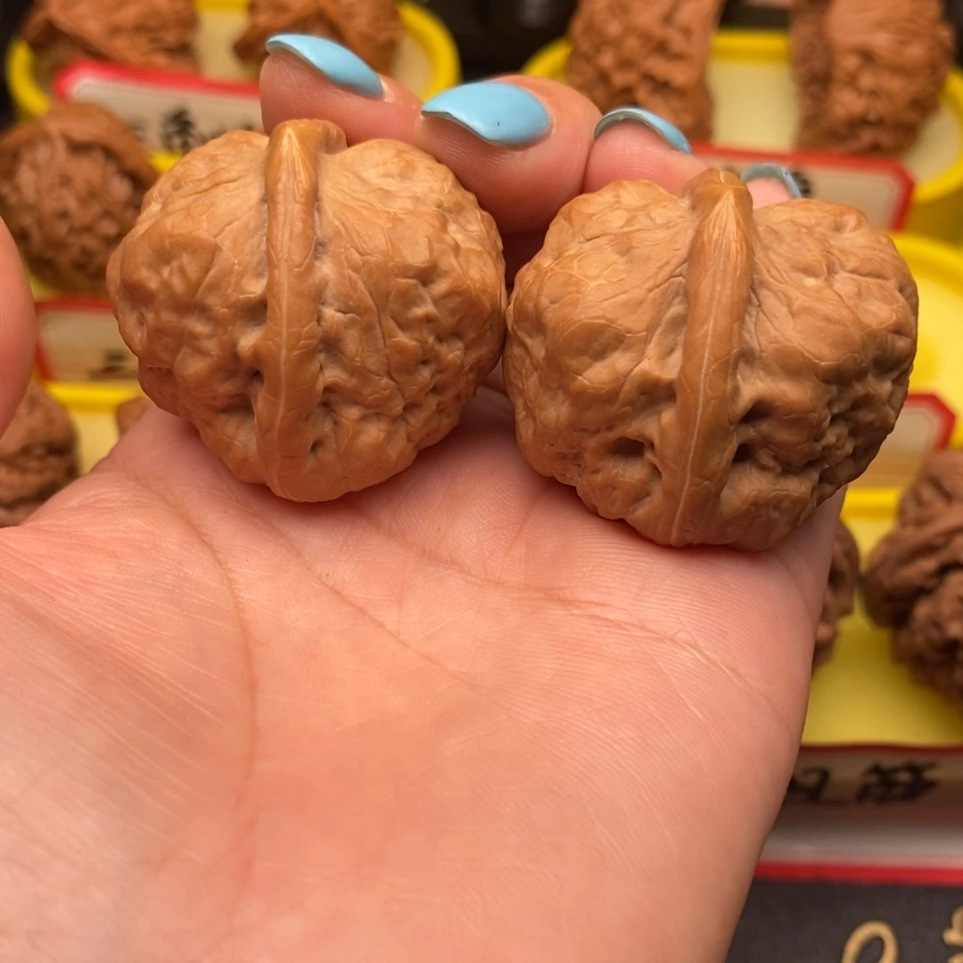 菩提籽类古蝉蝉蝉
