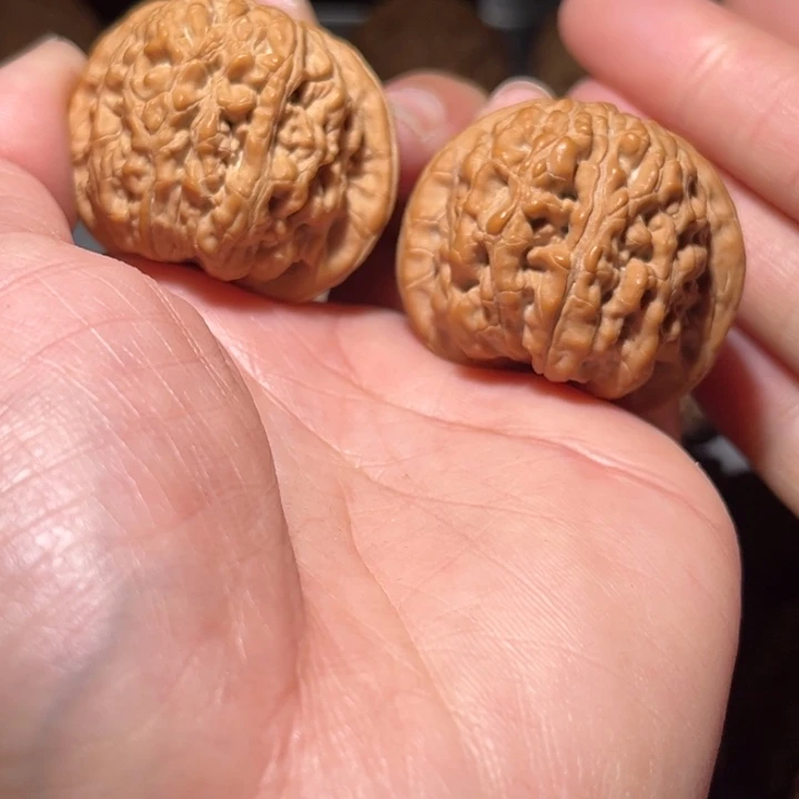 木质类兴隆骰子39全品