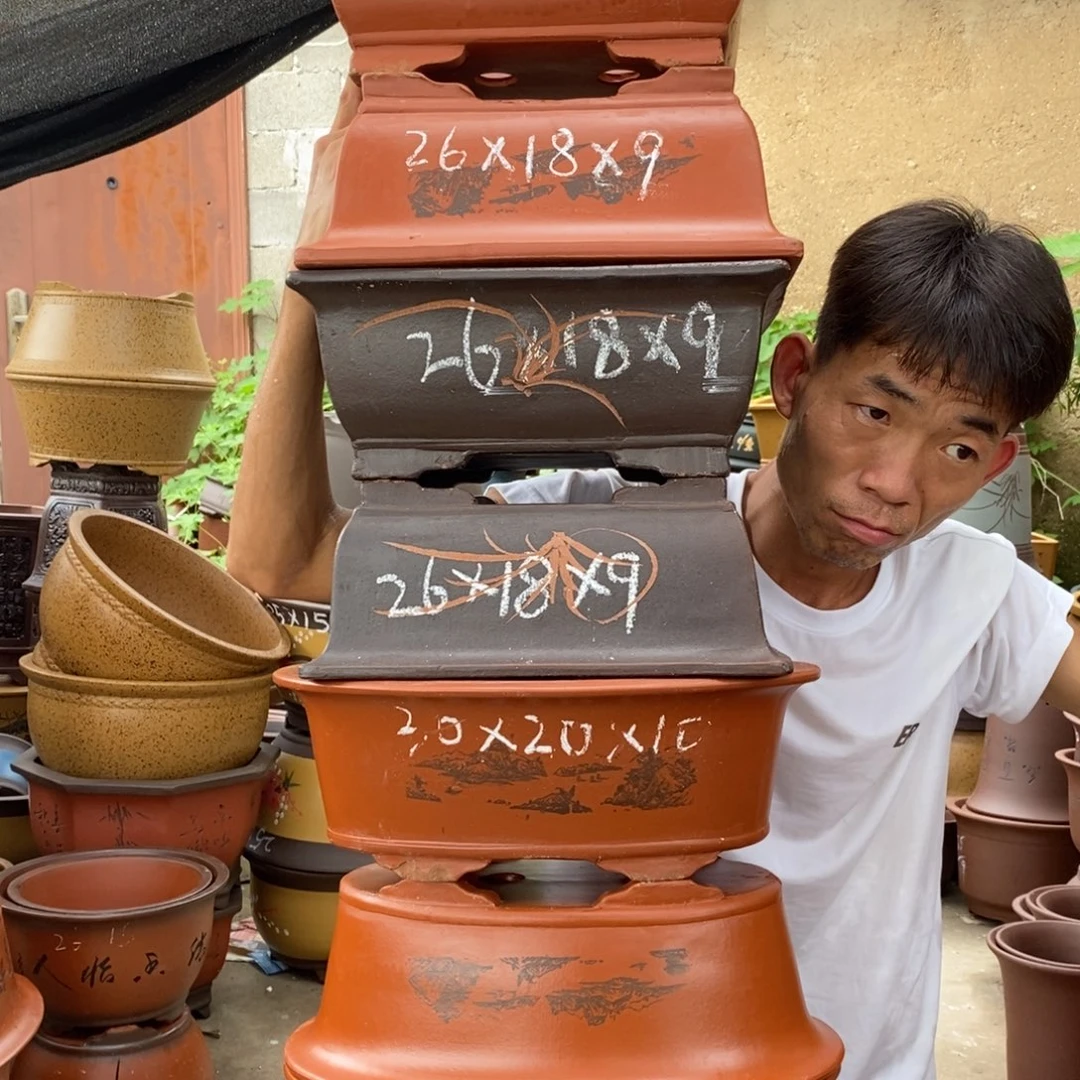 紫砂紫砂紫砂紫砂