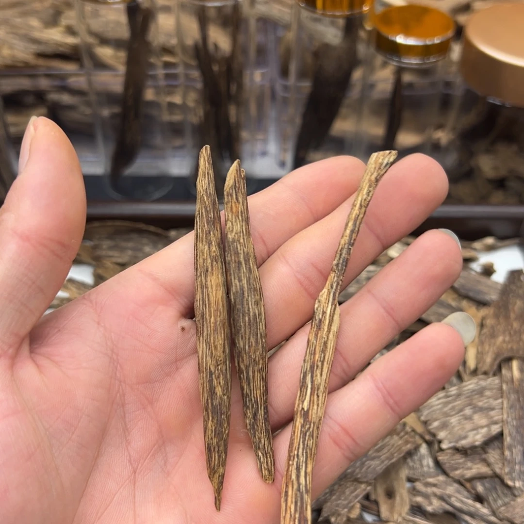 天然达拉干树心油5.5g