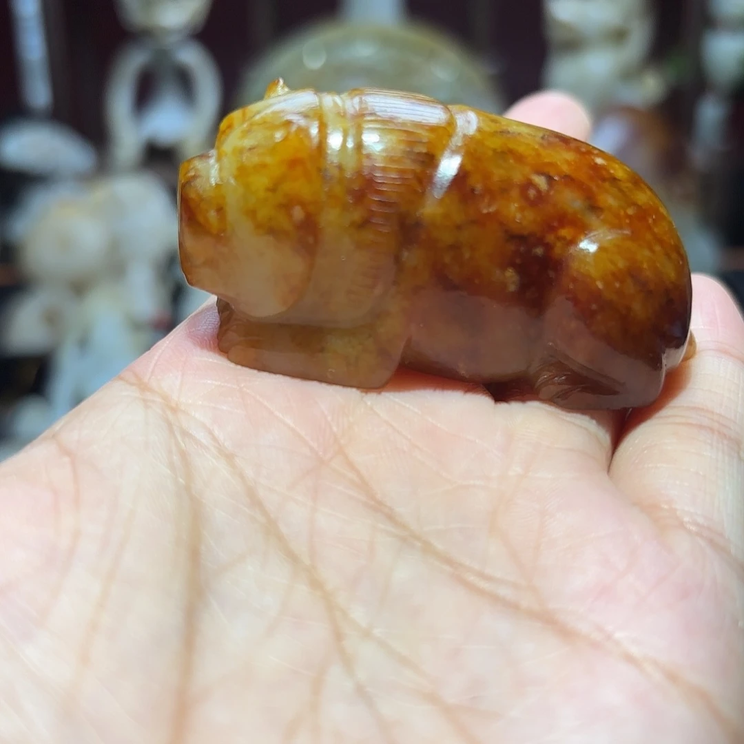 缸一物一图 所见所得