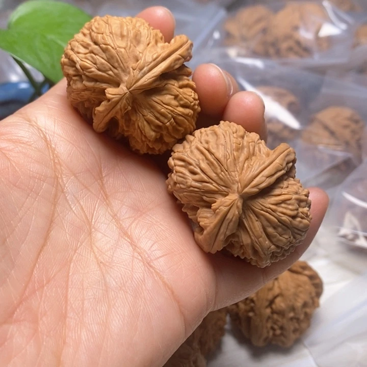 文玩核桃把件白狮子