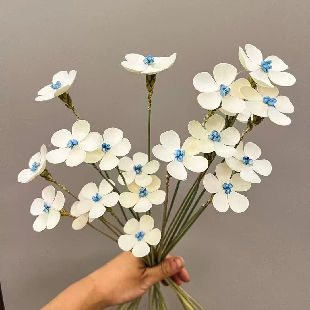 新品花伴糖果、小白果干花紫罗兰、草莓果、地榆、瓜子花。活动满赠！