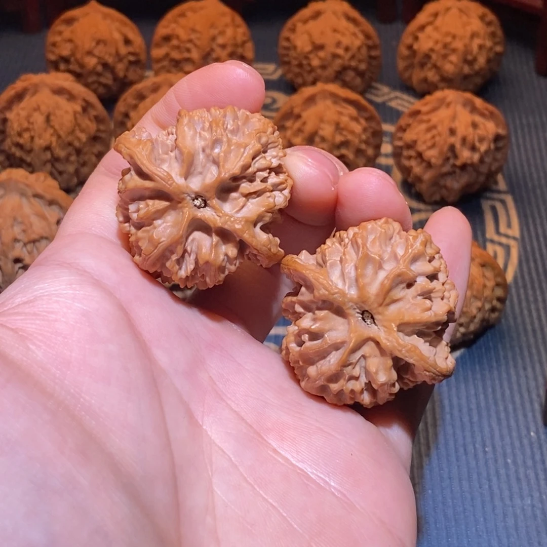 角***色41尺 全品白茬 原桩 苹果园