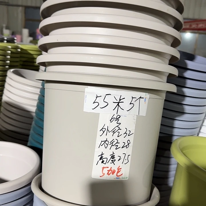 四季6号灰白无托7个特价微瑕