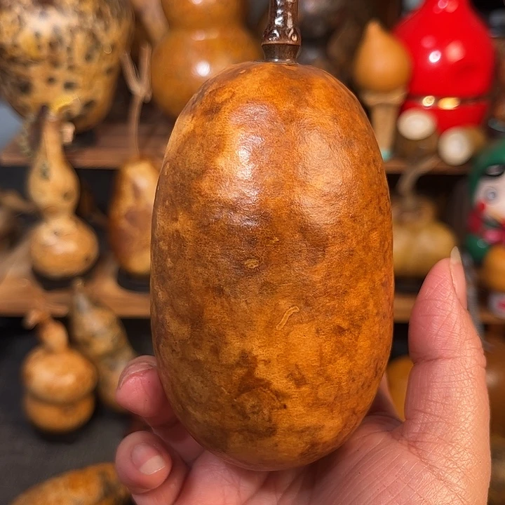 弥***勒厚皮冬瓜。