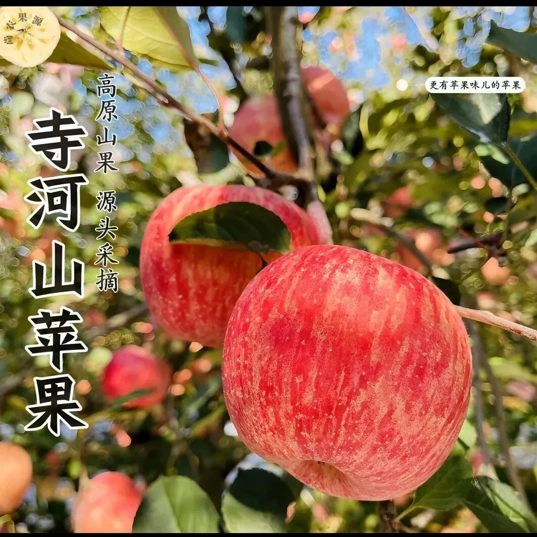 【邮政助农】河南灵宝寺河山SOD富硒红富士苹果脆甜多汁普通装