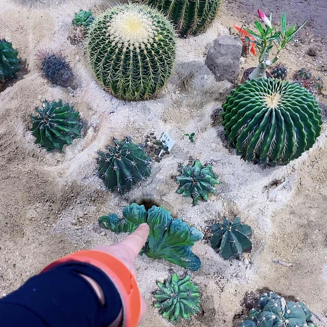 无花朵北**妞000000000000000