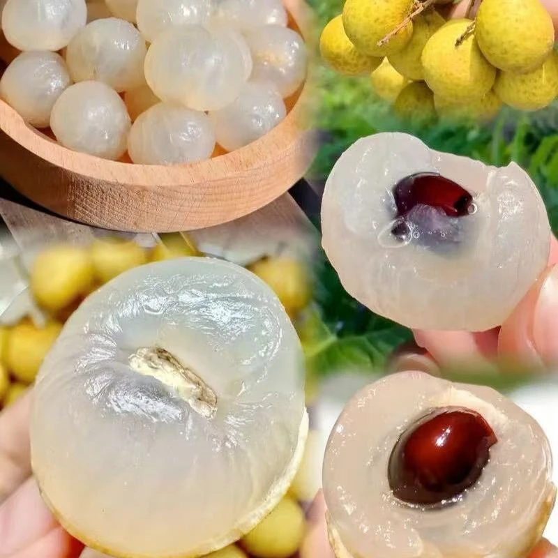 储良龙眼【空运冷链专线】新鲜应季水果果园多仓直发