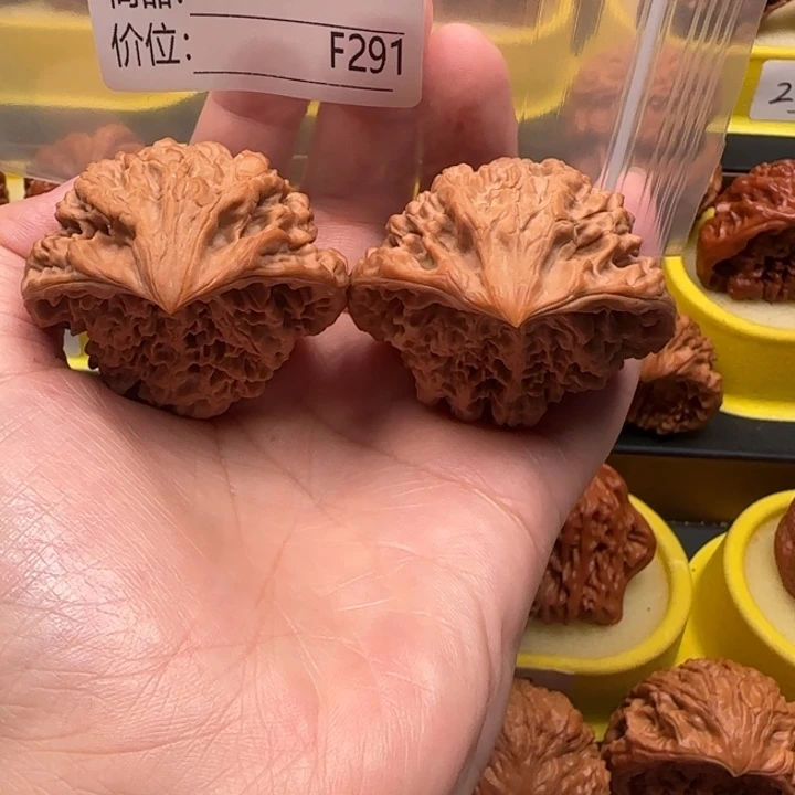 曦***叔核桃蛇王47蛇王蛇王