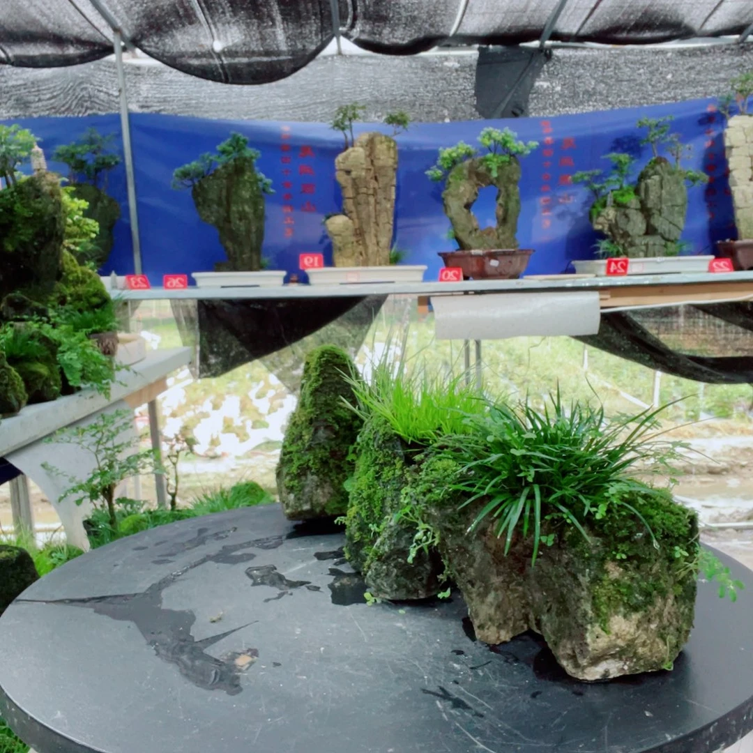 吃****完全开放意阔老师家不带盆三个