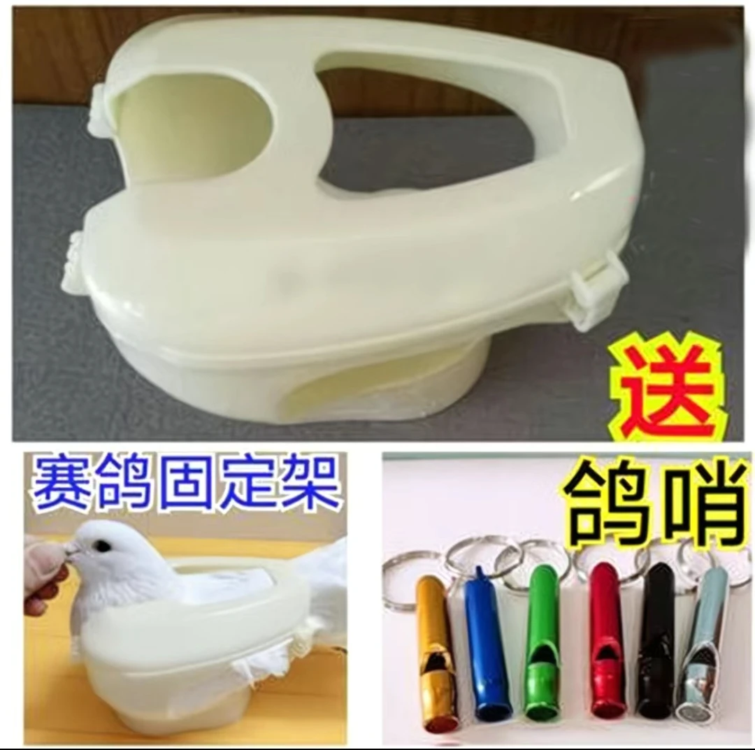 鸽子辅助喂食喂药看眼上环固定架赛鸽信鸽用品