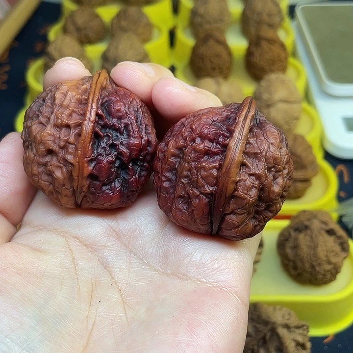 文玩核桃把件21、鸭嘴兽41