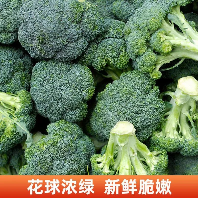 新鲜西兰花湖北现摘现发爆炒火锅煮露天农家种植绿色鲜嫩西兰花