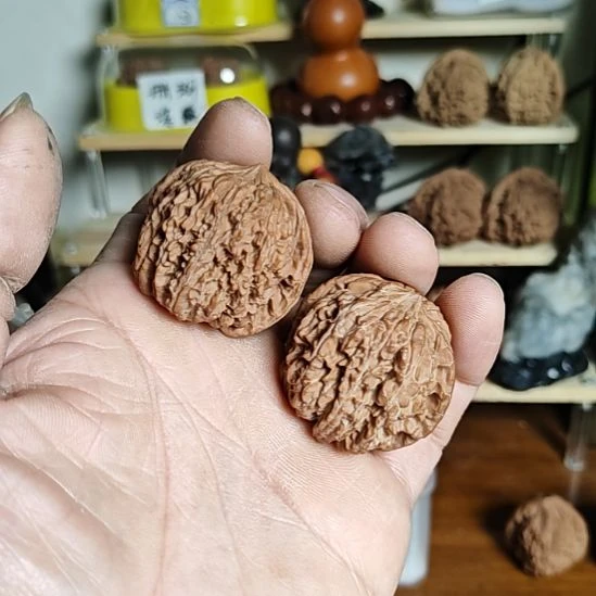 38加尺寸137狮子头