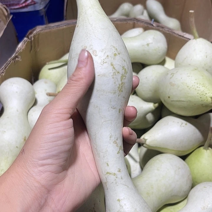非洲紫檀（红花梨）西****风