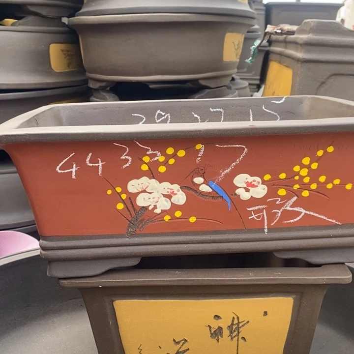 紫砂花盆我不在这里吃饭的