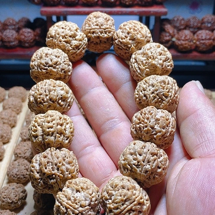 金刚菩提手串清**.古龙老树王