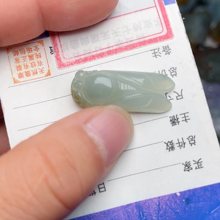 翡翠颈饰未镶嵌知了