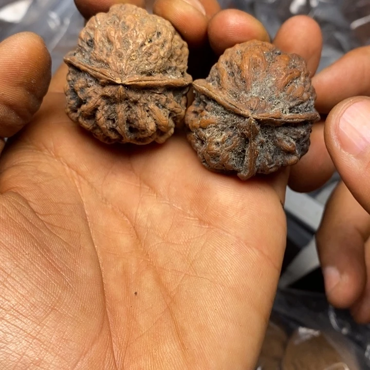 文玩核桃把件正文铁核桃37号